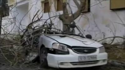 Car under tree