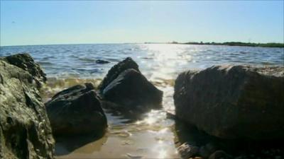 Rocks on Gulf Coast shore