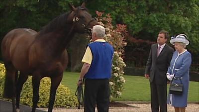 Queen at stud farm, Kildare