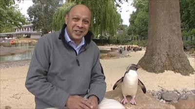 Penguin and reporter