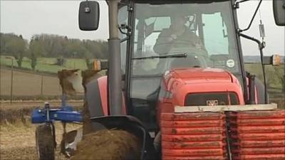 Tractor ploughing up wildlife margins