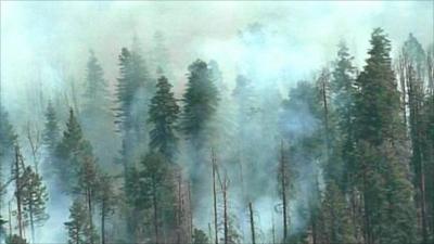 Aerial view of the blaze