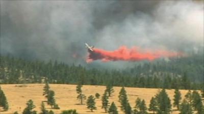 Airplane attempts to battle wildfire