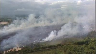 Dorset heathland fire