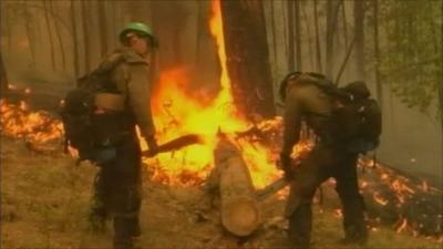 Fire crews clear vegetation from the path of the fire