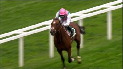 Classy Frankel storms to 2010 Ascot win