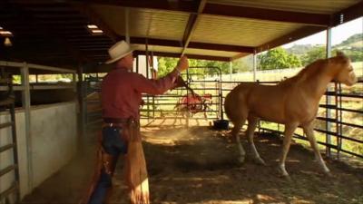 A scene from the documentary about Buck Brannaman