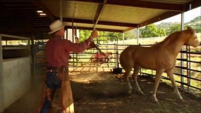 A scene from the documentary about Buck Brannaman