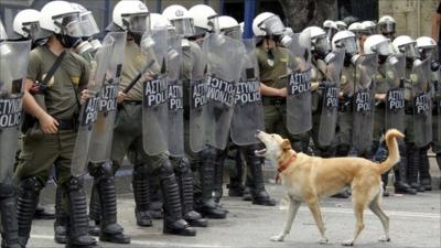 A dog barks at riot police in Athens