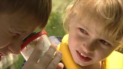 Children learning outdoors