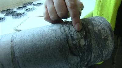 Fossil evidence found in Newcastle borehole dig