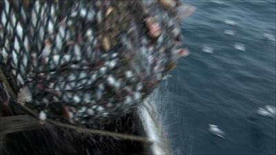 Fishing net being landed on a boat