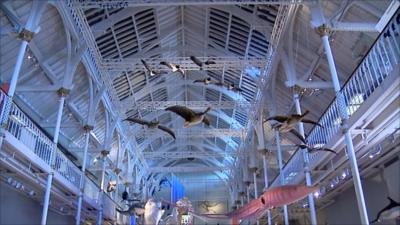 A display in the National Museum of Scotland