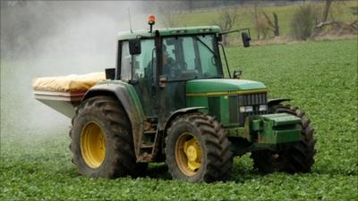 Tractor spreads fertilizer on a crop of sugar beet