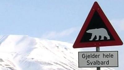 Polar bear sign