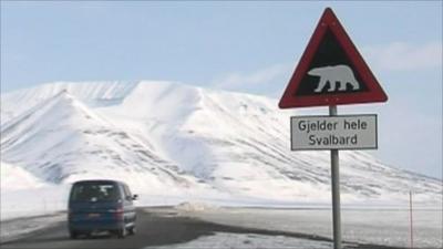 Polar bear warning sign in Norway