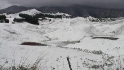 Snow covering several areas in New Zealand