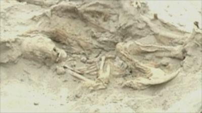 One of the skeletons found