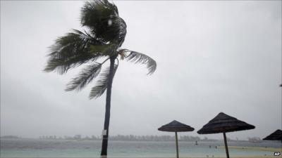 Palm tree being blown about on empty beach in the Bahamas