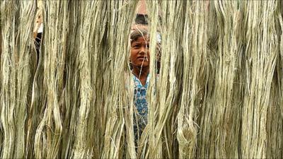 Girl hanging up jute fibres to dry