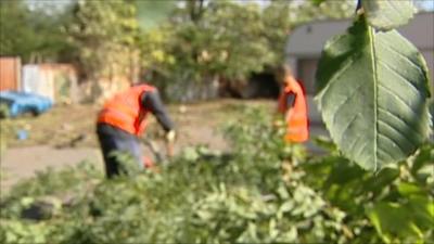 Two men working in a common garden