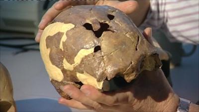 13,000-year-old skull