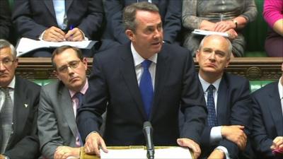 Defence Secretary Liam Fox in the commons