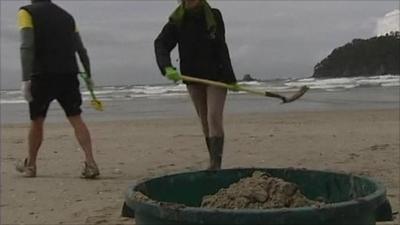 People cleaning up beach