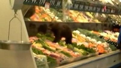 Bear in supermarket