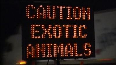 Roadsign warning of exotic animals on loose