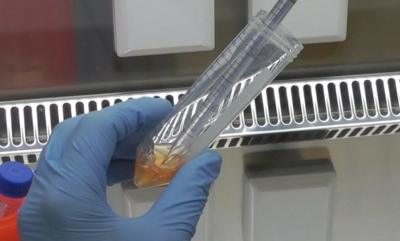 Laboratory