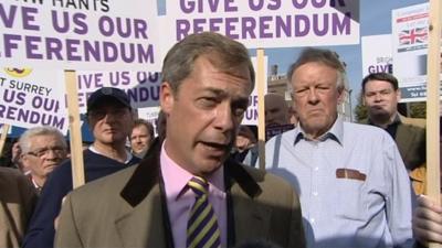 UK Independence Party leader Nigel Farage at pro-referendum demonstration