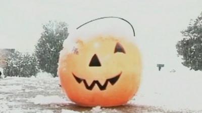 Pumpkin covered in snow