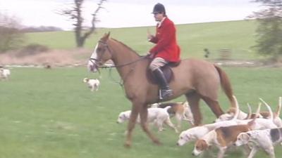 Foxhunting scene