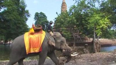 Elephant helping post-flood clean-up in Ayutthaya, Thailand