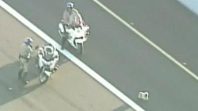 Police try to catch dog on highway