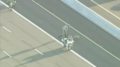 Policemen attempt to catch runaway dog