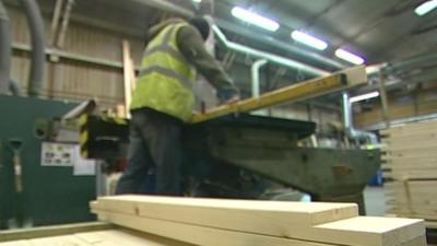 Worker in timber factory