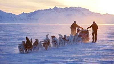 Sirius patrol in northern Greenland