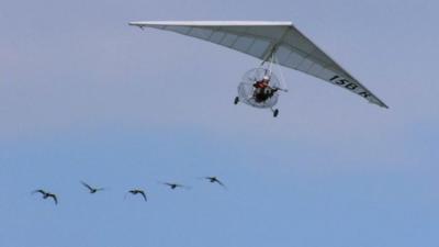 Christian Moullec flies with geese