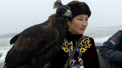 Female falconer with eagle