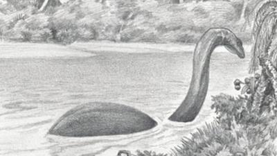 An artist's representation of the reputed creature Mokele-mbembe. Drawing by David Miller. Image courtesy of Brill publishers