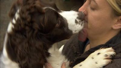 A dog is reunited with its owner