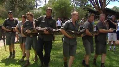 Men carrying Atomic Betty, the giant python