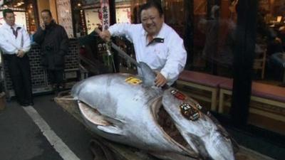 Mr Kiyoshi Kimura and tuna