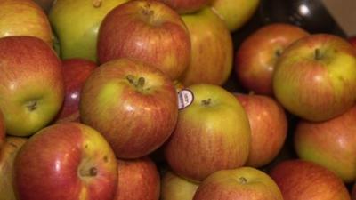 Braeburn apples