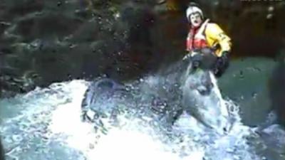 Lifeboat crews trying to rescue a horse trapped in a small cove