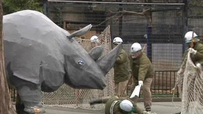 A fake rhino 'attacks' staff armed with fake tranquilisers at a Tokyo Zoo