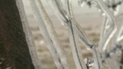 Fence wire coated with ice after freezing rain