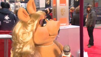 Miss Piggy